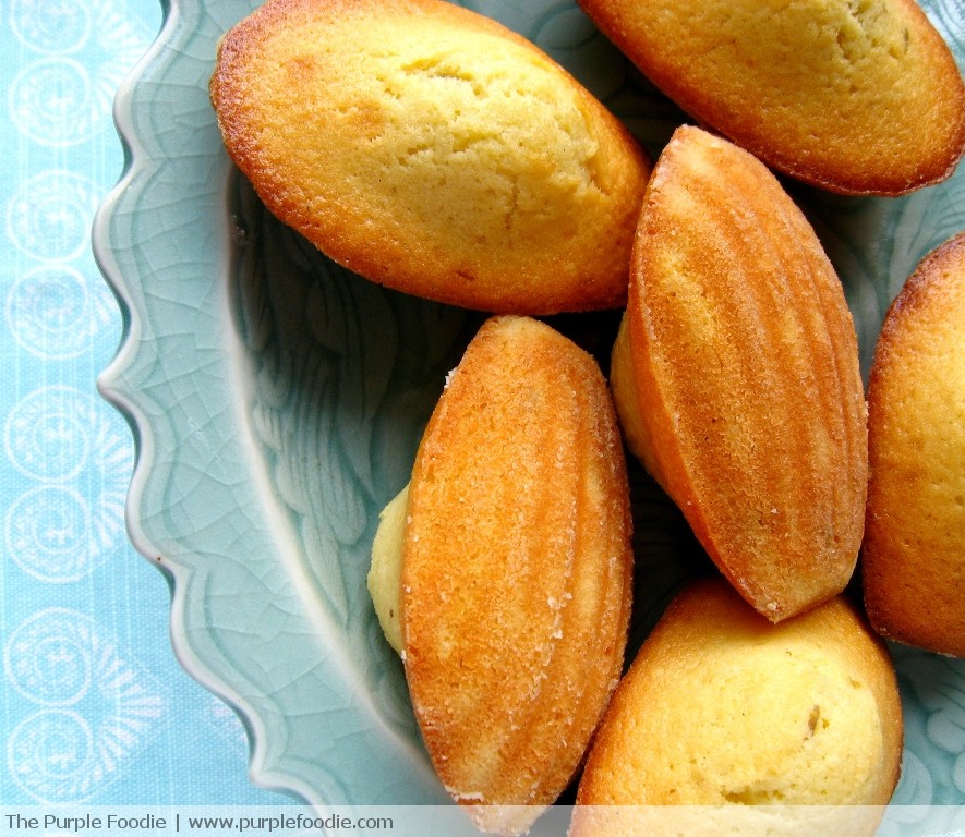 Honey Lavender Madeleines