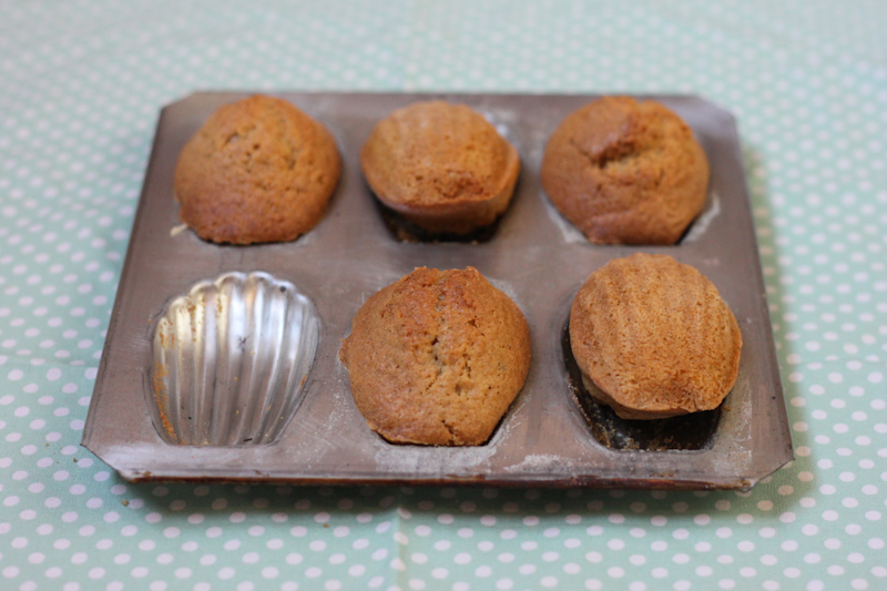 Brown Butter Madeleines