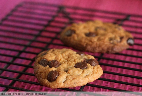 Chocolate Chip Cookie