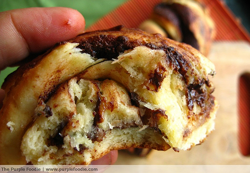 Chocolate Cinnamon Babka