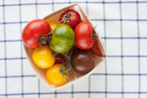 Basket of tomatoes