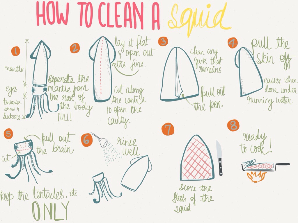 How to clean a squid